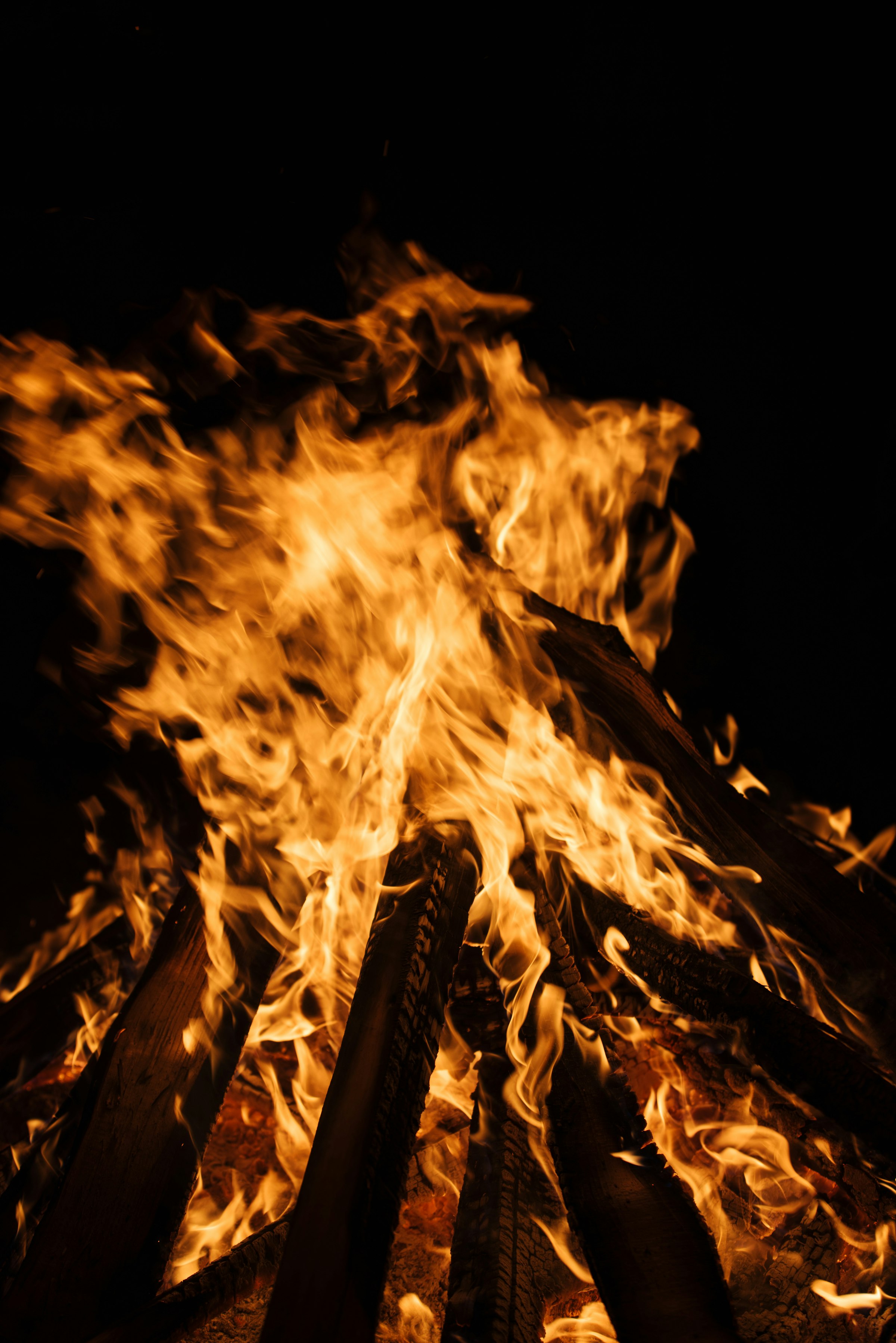 Intense orange bonfire flames glowing against a dark night by Florian Schindler